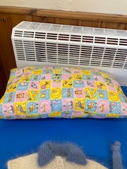 Cushion made by 5 year old Rosa using grandma Caroline’s sewing machine